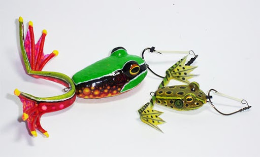 catch fishes using frog lures